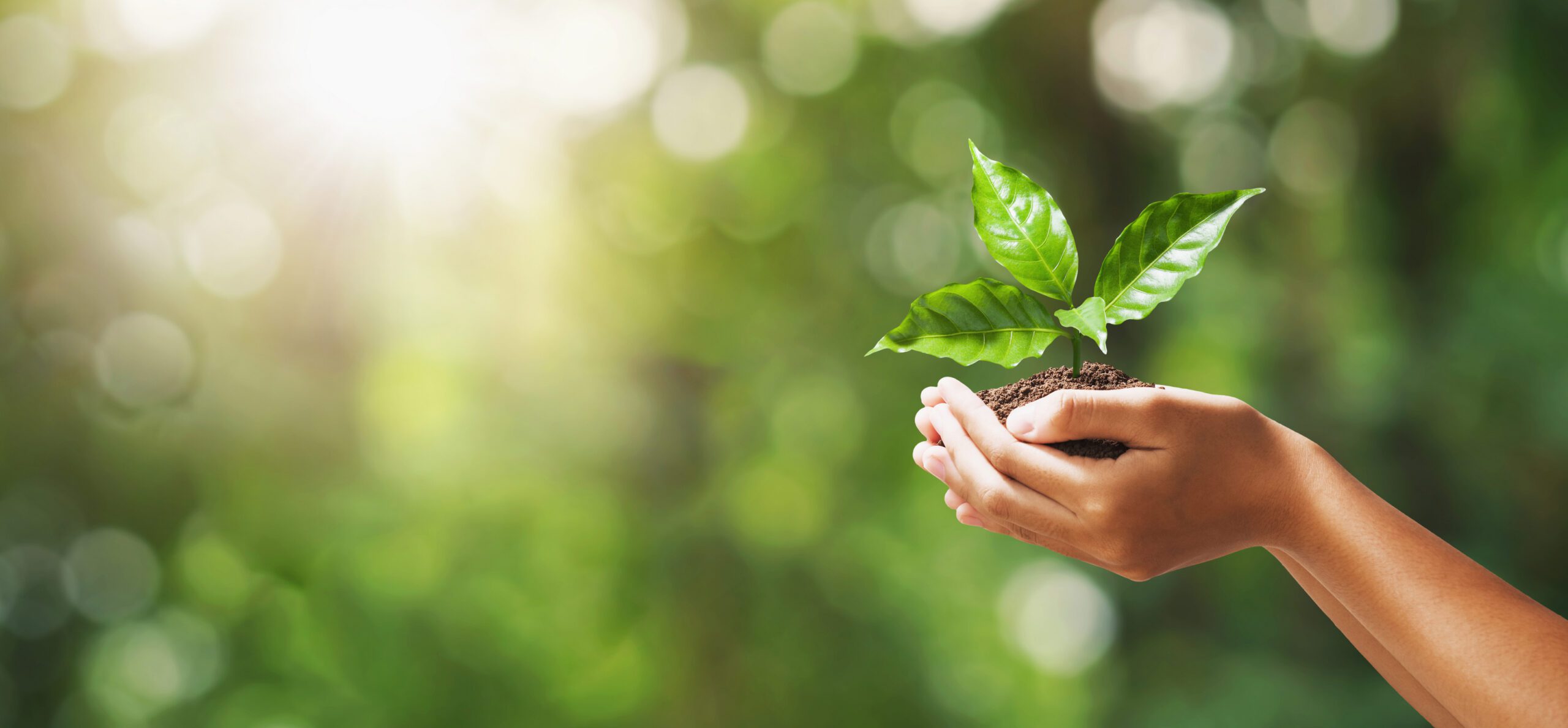 A restful space for burnout recovery at Aurora Village Therapy