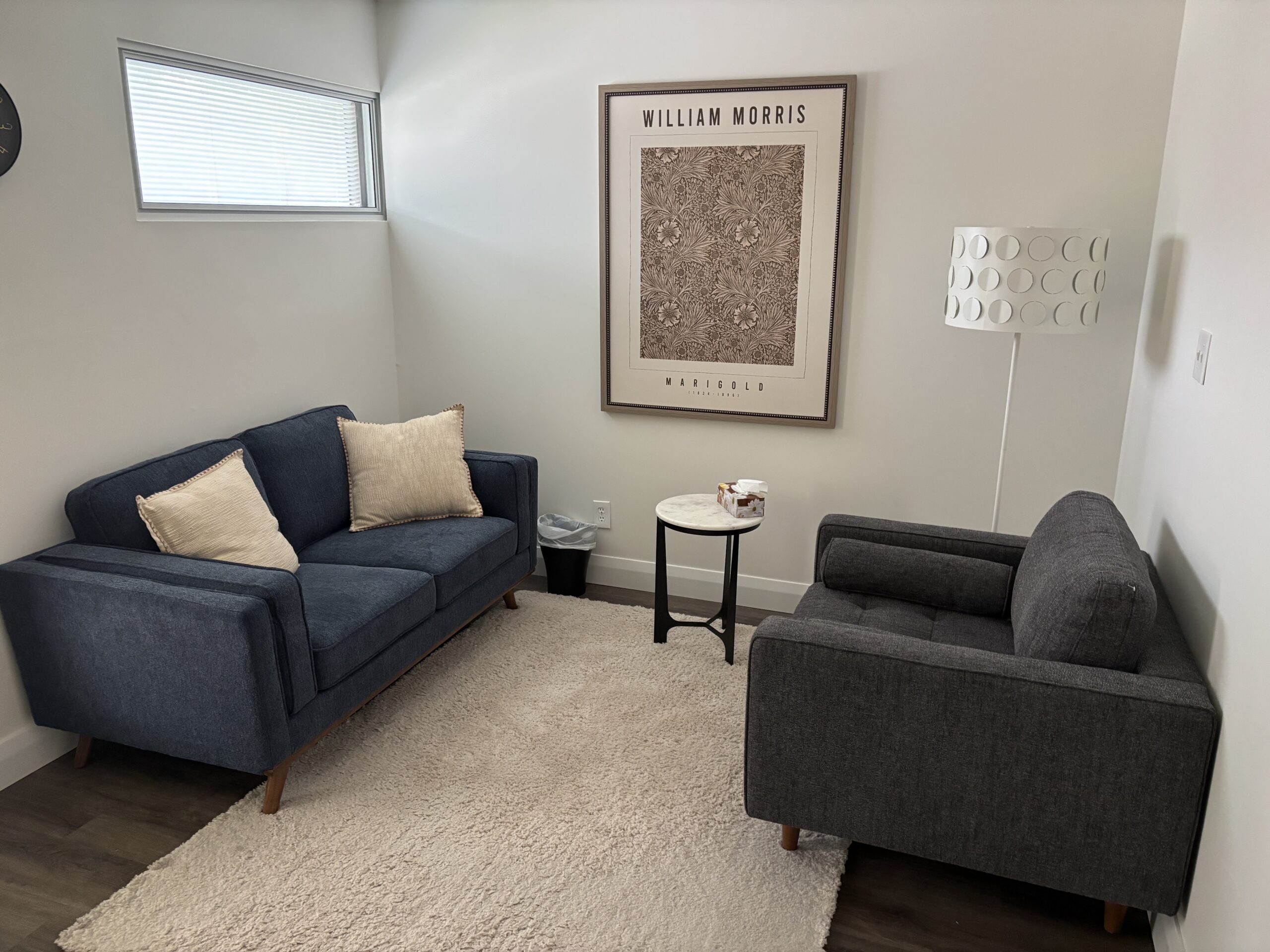 Aurora Village Therapy and Wellness Centre
